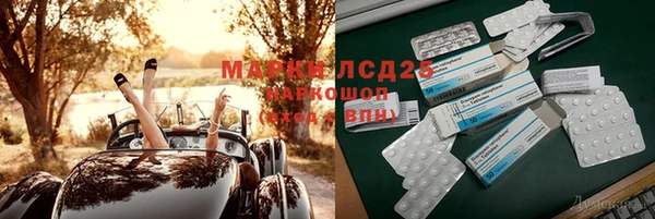 гидропоника Алзамай